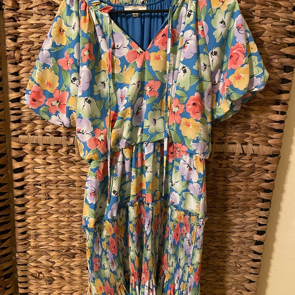 Entro Blue and Multicolor Floral Dress